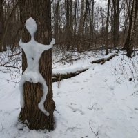 Существует ли снежный человек? :: Андрей Лукьянов