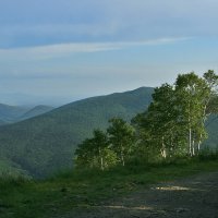 На горе Российская. Южно-Сахалинск :: Зуев Геннадий 