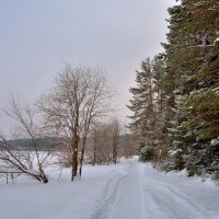 Вечереет... :: Александр Зуев