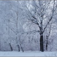 Прошлые зимы :: Юрий Ефимов