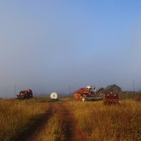 Сельскохозяйственный туман :: Сергей Шаврин
