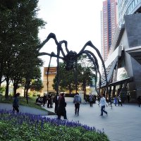 "Maman" Roppongi Токио Япония :: wea *