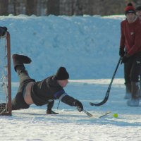 Трус не играет в хоккей! :: Владилен Панченко