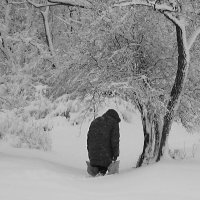 По глубокому снегу :: Александр Бурилов