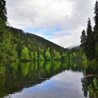 озеро  Синевир :: Татьяна Ларионова