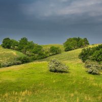 Перед майской грозой. :: Людмила 