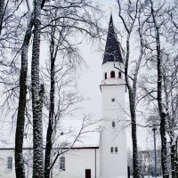 Чёрно-белая зима. :: Liudmila LLF