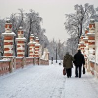 Зима в парке Царицыно. :: Борис Бутцев