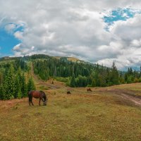 В  Карпатах. :: Юрий Гординский