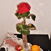 Красная роза-эмблема любви. :: Венера Чуйкова