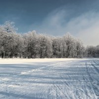 На лыжной базе.. :: Андрей Заломленков