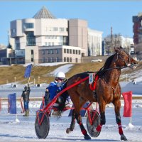 Скачки,конные бега,соревнование, и т.д. :: Юрий Ефимов