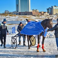 Скачки,конные бега,соревнование, и т.д. :: Юрий Ефимов