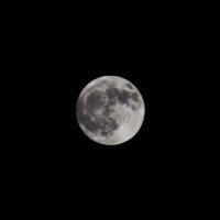 Луна :: Лина Нефедова