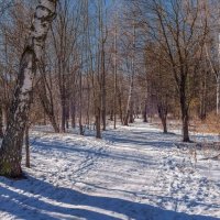 До весны 4 дня :: Валерий Иванович