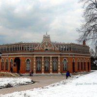 Москва моими глазами. :: Восковых Анна Васильевна 