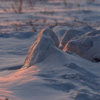 *** :: Игорь В. Капустин