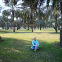 Идеально чистые парки Дубая :: Ivan G