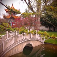 Цюрих Швейцария Китайский сад :: wea *