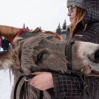 Масленица :: Валерий Михмель 