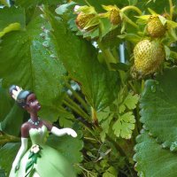 Ах, ну почему ягоды зелёные? :: Тамара Бедай 