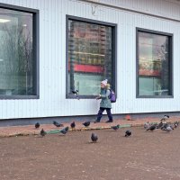 Погонять голубей после школы :: Валерий Иванович