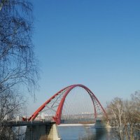 Бугринский мост, Новосибирск, река Обь. :: ОКСАНА ЮРЬЕВНА ШВЕЦ