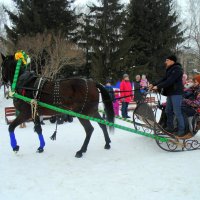 Катание на лошадке - детям радость ! :: Мила Бовкун