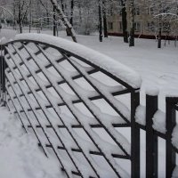Снег :: Наталья Цыганова 
