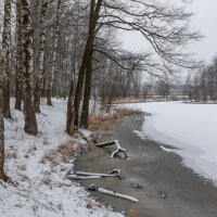 ** :: Елизавета .