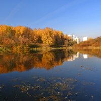 Осень в городе. :: Татьяна *