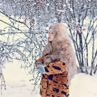 Зима :: Ольга Гаврикова
