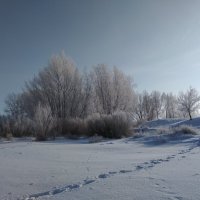 Зима не отступает ... :: Татьяна Котельникова