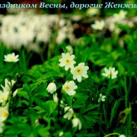 к празднику Весны и Любви... :: Александр Прокудин