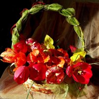 Корзина тюльпанов в подарок ЖЕНЩИНАМ!!! :: Лидия Бараблина