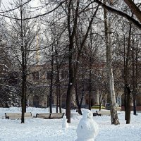 В Александровском парке (Санкт-Петербург) :: Ольга И