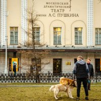 ТЕАТР ИМЕНИ ПУШКИНА :: Сергей Янович Микк