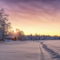 В погоне за северным оленем.... :: Владимир Колесников