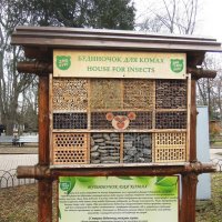 Домик для многих видов насекомых в киевском зоопарке) :: Тамара Бедай 