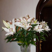 Букет белых лилий :: Наталья Цыганова 