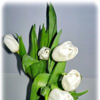Белые тюльпаны в авторской вазе. 8 марта 2020 года. :: Александра Рожкова 
