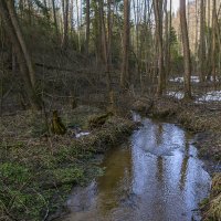 Лесной ручей в марте :: Сергей Цветков