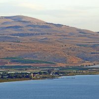 Берега Галилейского моря :: Анатолий Мо Ка