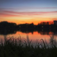закат в парке :: Елизавета Коломенцева
