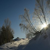 Холодное солнце :: Сергей Шаврин