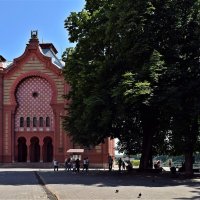 Здание синагоги в Ужгороде :: Татьяна Ларионова