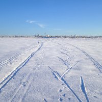 По лыжне... :: Алексей Сметкин