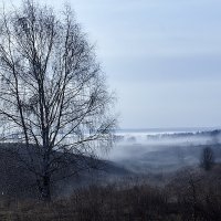 туман :: Денис Некрасов