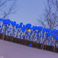 Один сам по себе. :: Александр Горячев