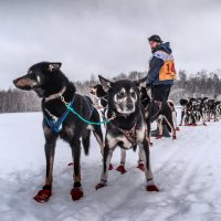 ... :: Евгений Житников